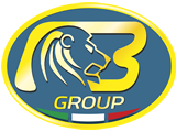 Bargam Lion Logo